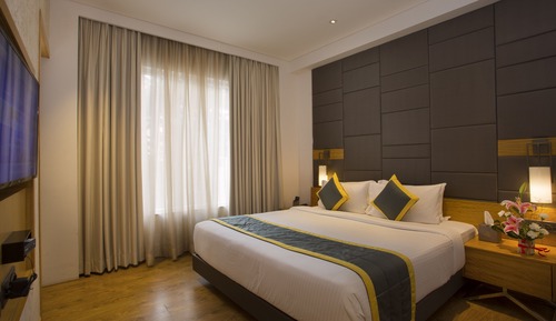 Suite de lujo, 1 cama doble