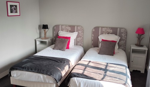 Habitación Confort con 2 camas individuales, baño privado, vistas al río (Chambre Montlouis)
