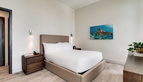 Suite, 2 habitaciones
