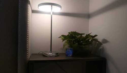 Habitación individual clásica, solo para hombres