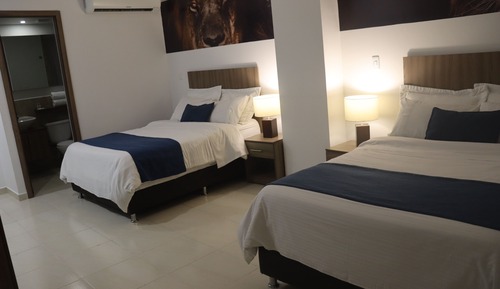 Habitación doble superior, 2 camas dobles