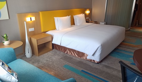 Habitación estándar, 1 cama de matrimonio grande (Extra Floor Space)