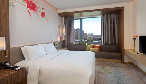 Suite Deluxe, 1 habitación