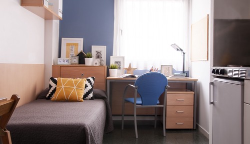 Estudio, 1 cama individual