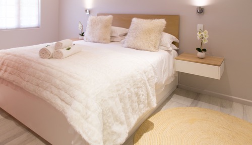 Aloe: One-Bedroom Apartment