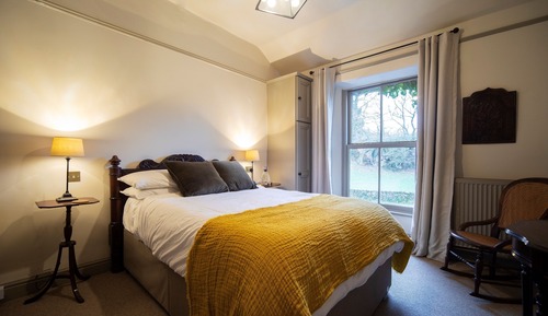 Cozy Room
