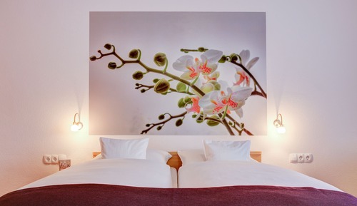 Habitación estándar doble