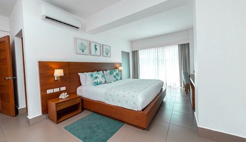 Suite estudio junior, vistas al jardín