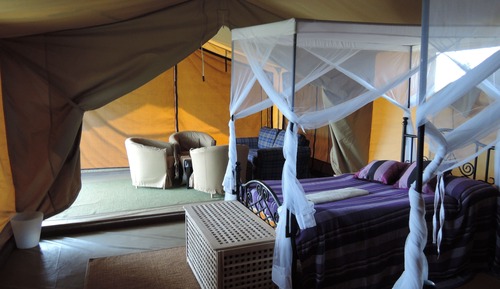Habitación individual estándar