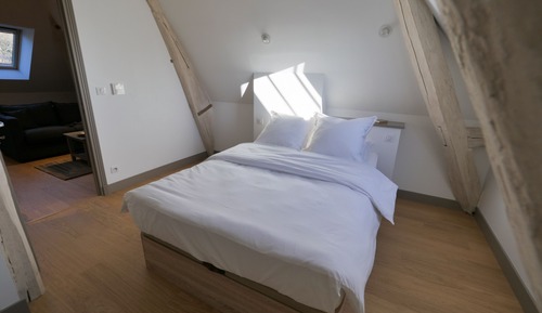 Apartamento, 1 habitación (Plaqueminier)