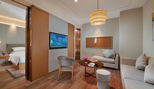 Suite de lujo
