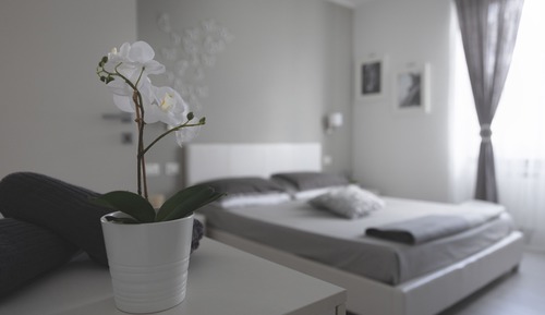 Habitación clásica doble, 1 cama de matrimonio, vistas a la piscina