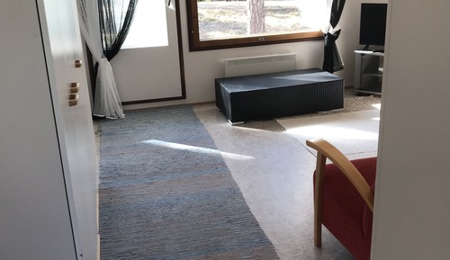Apartamento, 1 cama doble con sofá cama, sauna (# B3, # C5, # C6)