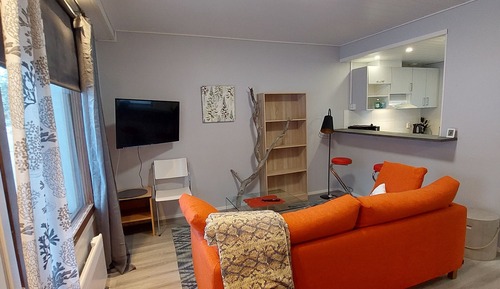 Apartamento, 1 cama doble con sofá cama (B4)