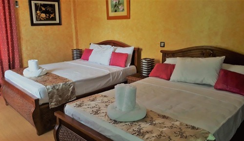 Habitación Deluxe con 2 camas individuales
