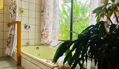 Suite junior, 1 cama de matrimonio grande, vistas al jardín