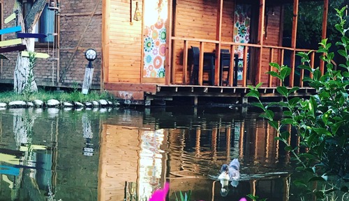 Estudio, Se admiten mascotas, vistas al lago