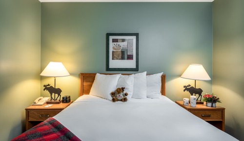 Suite, 1 cama de matrimonio con sofá cama