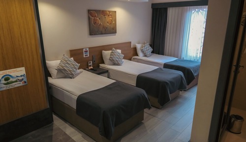 Habitación triple estándar