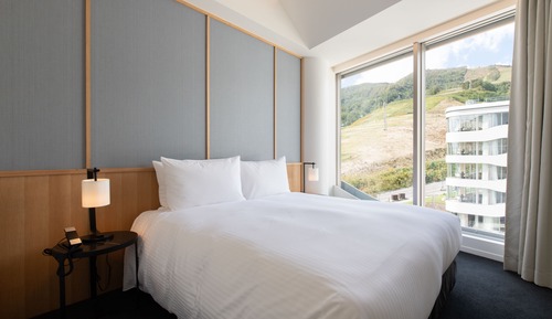 1 Bedroom Suite