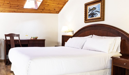 Habitación estándar doble, 1 habitación