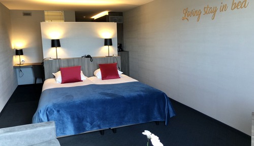 Habitación Confort con 1 cama doble o 2 individuales