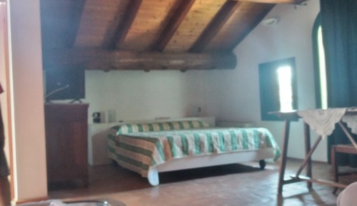 Suite estudio superior
