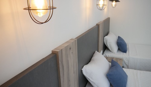 Standard Tree Single Bed Room