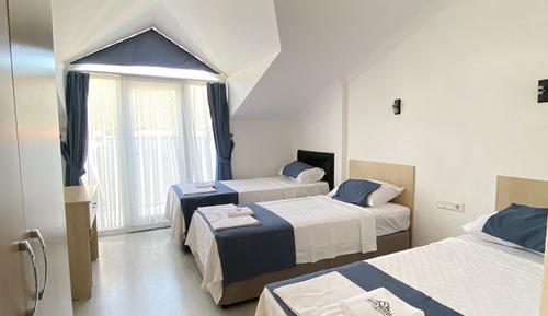 Standard Tree Single Bed Room, Penthouse