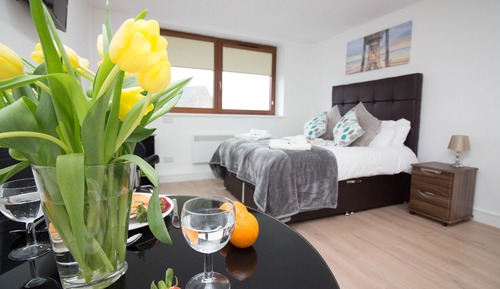 Estudio City, 1 cama doble (10)