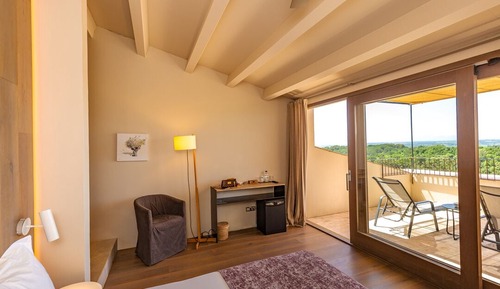 Habitación doble superior, terraza