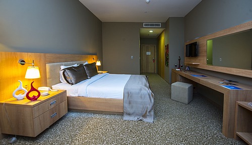 Habitación individual estándar