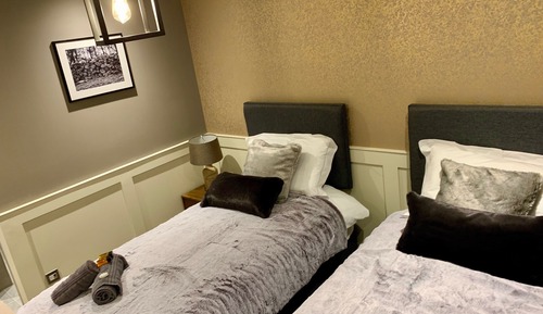 Chalet ejecutivo, accesible para personas con discapacidad, baño privado (Twin)