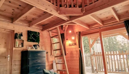 Casa Conforten un árbol