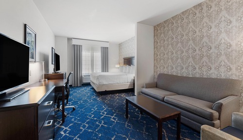 Suite, 1 cama de matrimonio grande, no fumadores, frigorífico y microondas