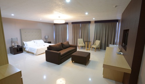 Habitación individual presidencial, 1 cama de matrimonio grande