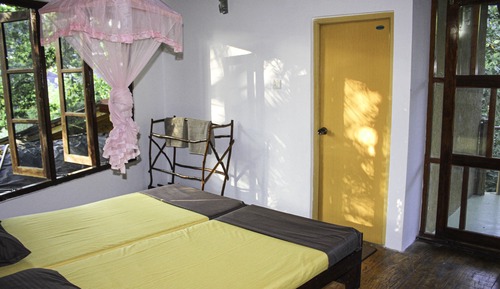 Casa en un árbol estándar, 1 habitación, vistas al jardín, en la zona del jardín