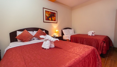 Habitación estándar con 2 camas individuales