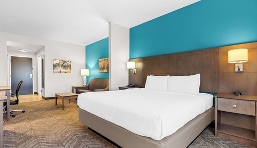 Suite, 1 cama de matrimonio grande, no fumadores, frigorífico y microondas (with Sofabed)