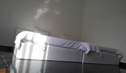Habitación Deluxe con 2 camas individuales