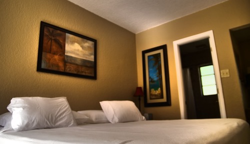 Estudio Premium, 1 cama de matrimonio, no fumadores, vistas al jardín