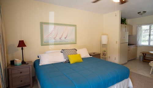 Suite Premium, 1 cama de matrimonio grande, no fumadores, vistas al jardín