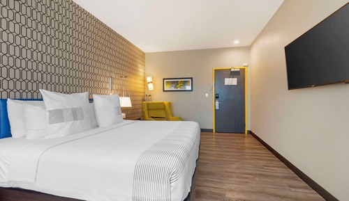 Habitación estándar, 1 cama de matrimonio grande, no fumadores, frigorífico