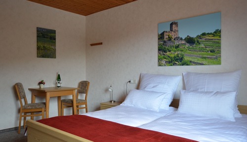 Habitación doble, vistas al viñedo