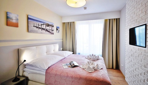Apartamento clásico, 1 habitación (D404)