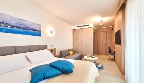 Superior Room Park Side (Family)