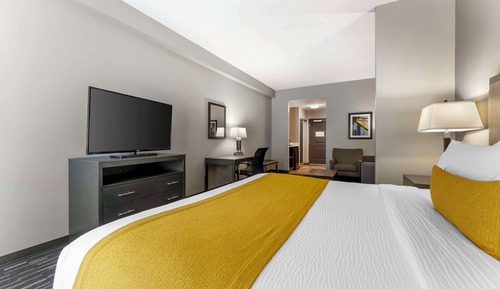 Suite, 1 cama de matrimonio grande, no fumadores, frigorífico y microondas (Shower Only)