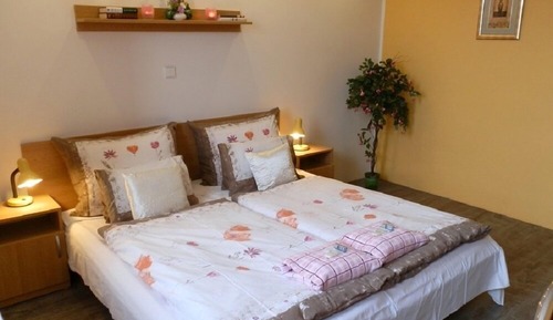 Habitación estándar con 1 cama doble o 2 individuales, frigorífico