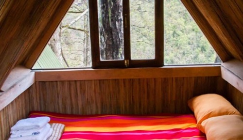 Casa en un árbol