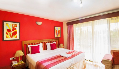 Habitación Deluxe con 1 cama doble o 2 individuales, 1 cama de matrimonio grande, baño privado
